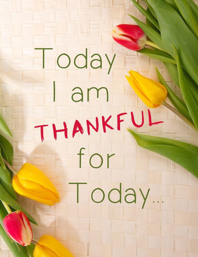 thankful, thanks, grateful-1081614.jpg